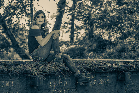 Sepia tone